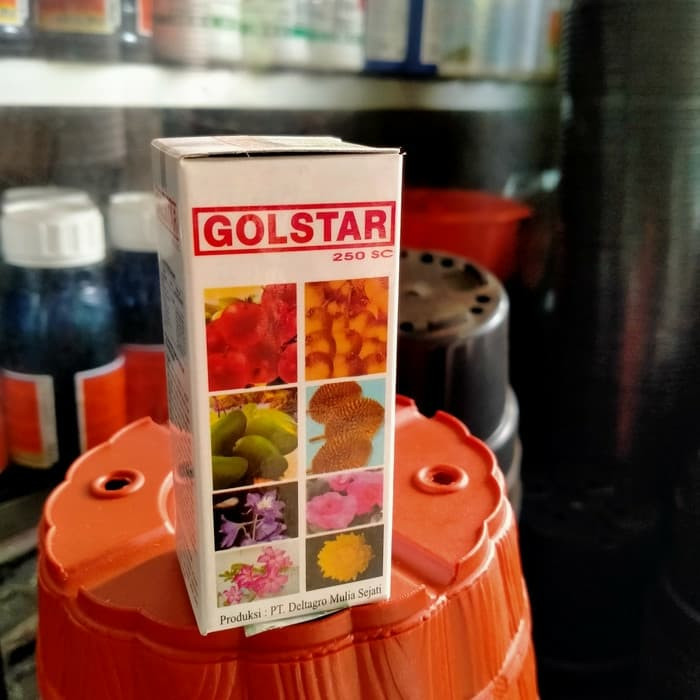 Goldstar//Jat Tumbuh Bunga&Buah pupuk