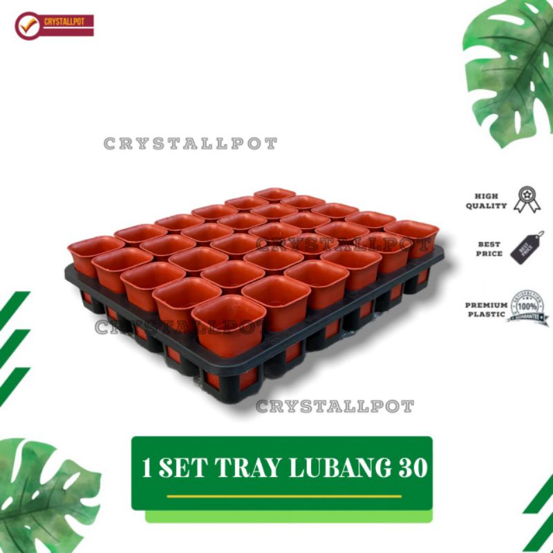 1 SET TRAY LUBANG 30 + POT NKT KOTAK 5CM MERAH BATA 30 PCS | TRAY SEMAI BIBIT