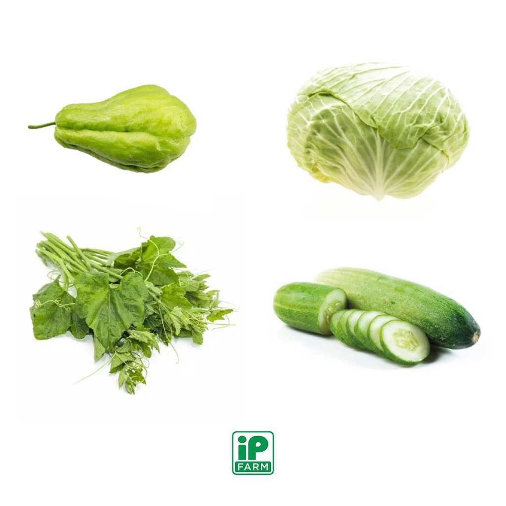 

Paket Pecel