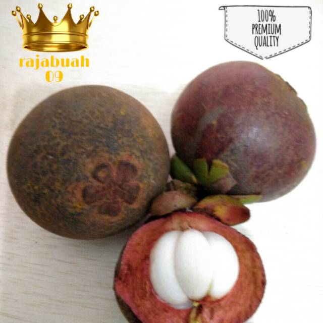 Buah mesta manggis beza dan Warisan Petani: