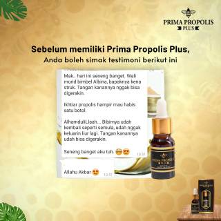 Khasiat Propolis El Prima Manfaat Khasiats