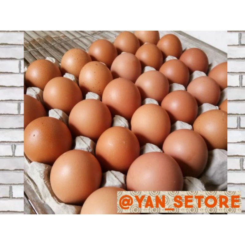 

TELUR NEGERI . . . 1kg