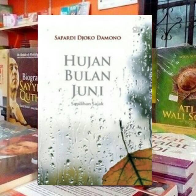 Hujan Bulan juni. Sapardi djoko damono