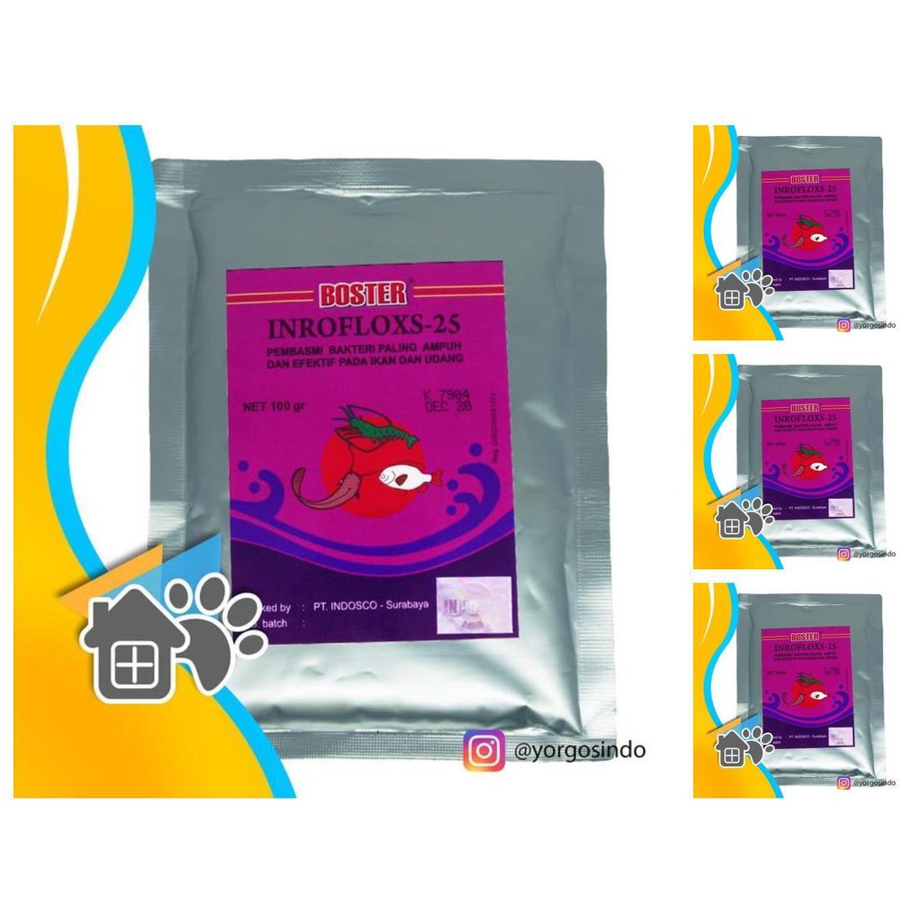 boster inrofloxs 25 antibiotik ikan enrofloxacin