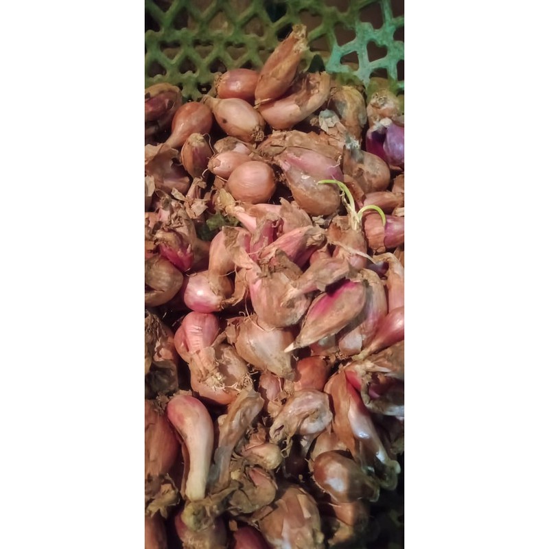 

bawang merah sumenep (500g)