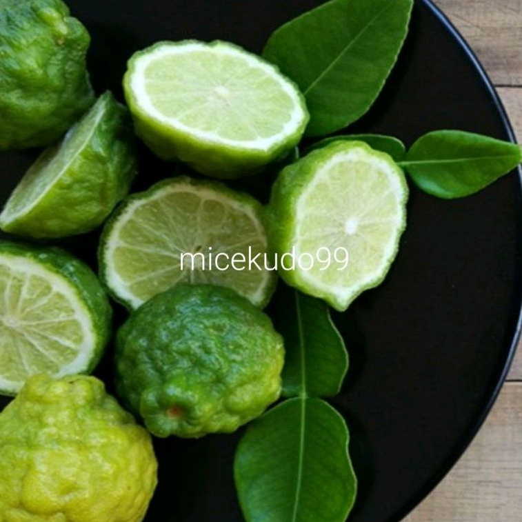 

JERUK LEMO SEGAR / JERUK PURUT FRESH LIMO LIMAU SAMBAL SAMBEL