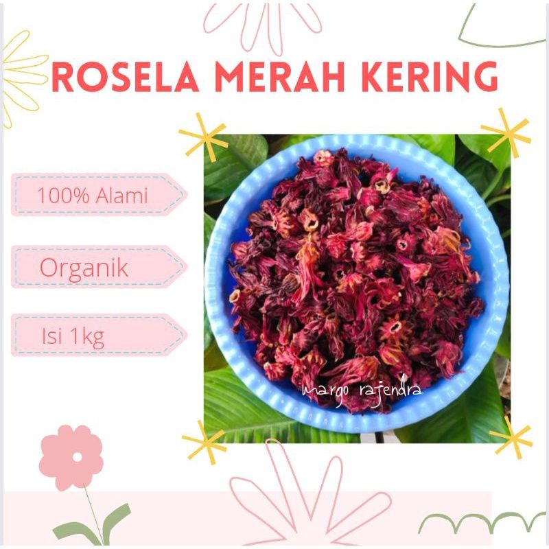 

Rosella kering 1kg Murah Teh diet Rosela baik untuk kesehatan