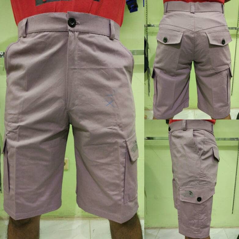 Celana Pendek The North Face Cargo