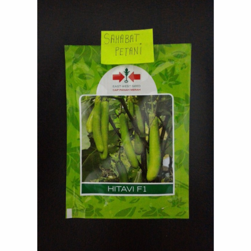 Benih Terong Hijau Tahan Virus Hitavi 400 Butir