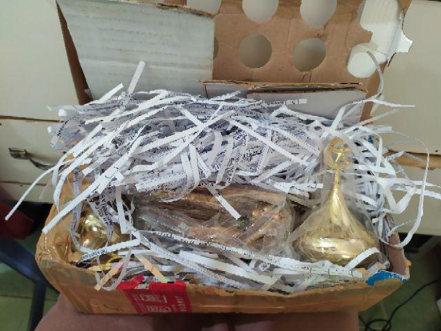 Daun Pakis Kering Warna Hijau