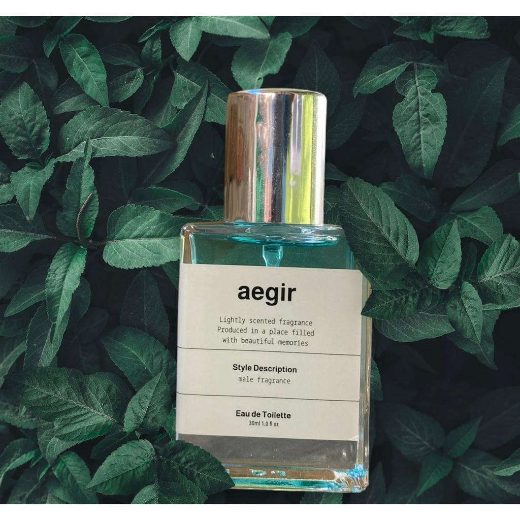 Parfum Bjorka AEGIR Parfum Pria Original Terlaris Cowok