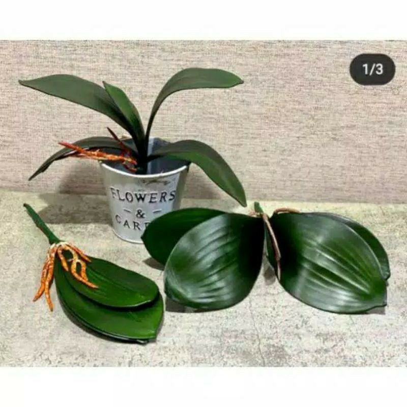 daun anggrek latex besar//daun anggrek palsu//daun anggrek hiasan