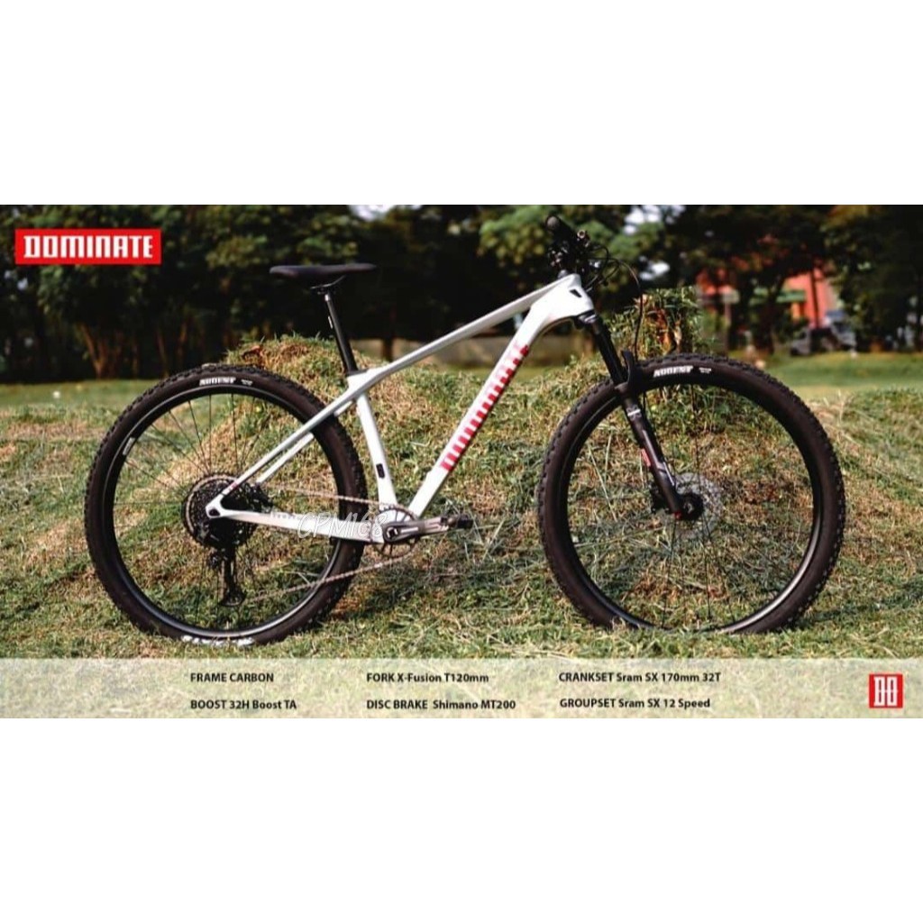 SEPEDA GUNUNG DOMINATE CXC ELITE CARBON 29 INCH