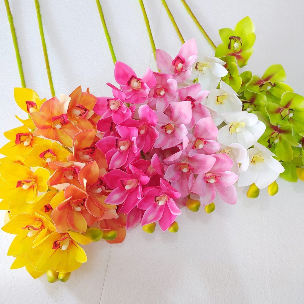 Anggrek Cymbidium Latex
