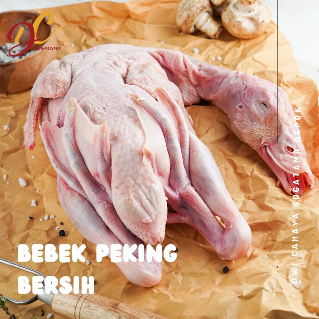 

Bebek Peking bersih 1,1 kg