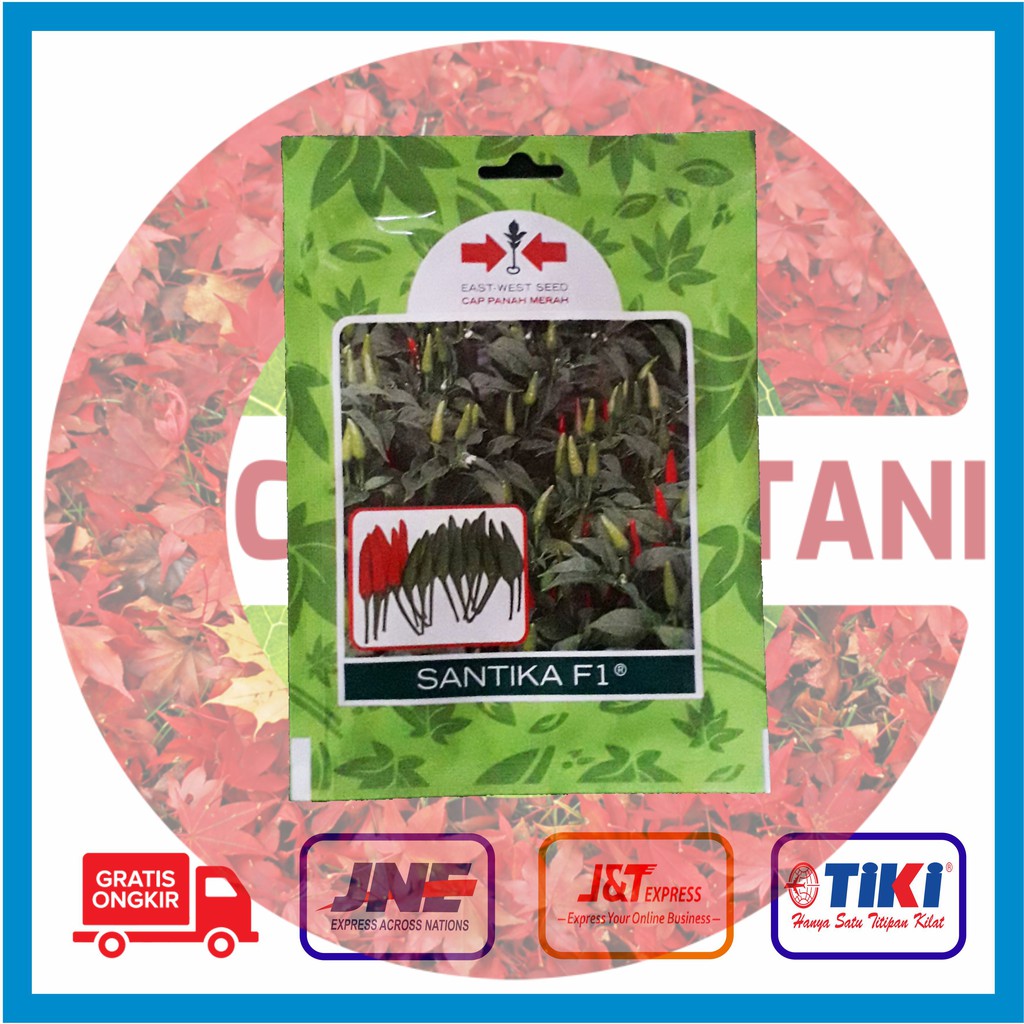 Benih Cabe Rawit Hijau Santika @ 350 butir