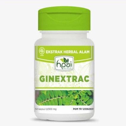 GINEXTRAC Batu Ginjal Empedu Kencing Batu Sakit Pinggang HNI HPAI Terlaris Termurah Best Selles Bisa