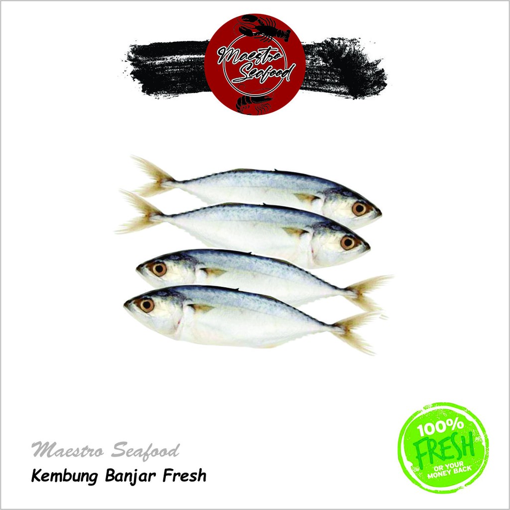 

Kembung Banjar Premium Fresh - 1.000 gr