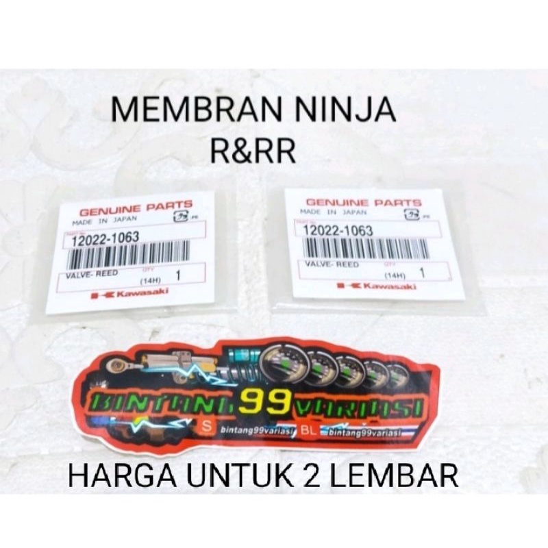 MEMBRAN LIDAH MEMBRAN KX85 KAWASAKI NINJA R DAN RR