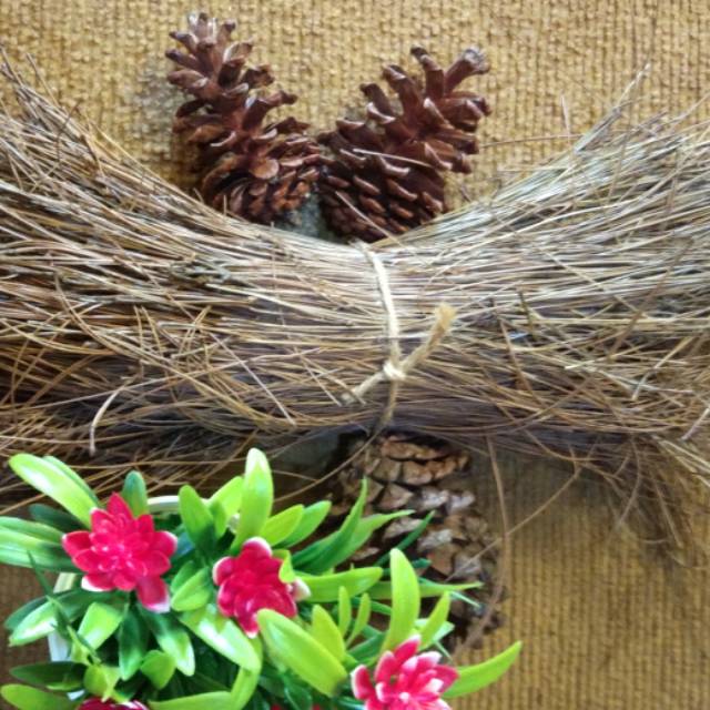 (5 Gratis 1) Daun Pinus Kering Pinecones Sarang Burung Birdnest Rustic Dekor Property Photo