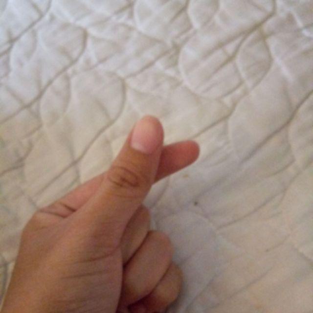 Bibit Long Murbei Super Manis