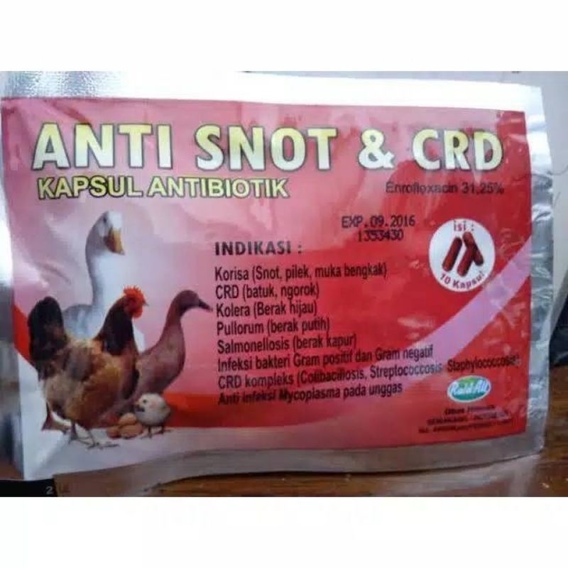 ANTI SNOT DAN CRD RAID ALL || OBAT PILEK AYAM 10 KAPSUL