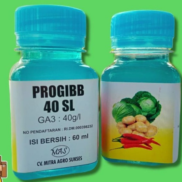 PROGIBB 40 SL KEMASAN 60 ML