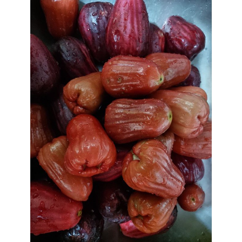 

jambuair/Jambucitrajumbo