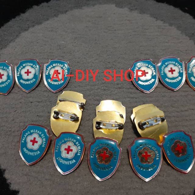 PIN PMR SMP