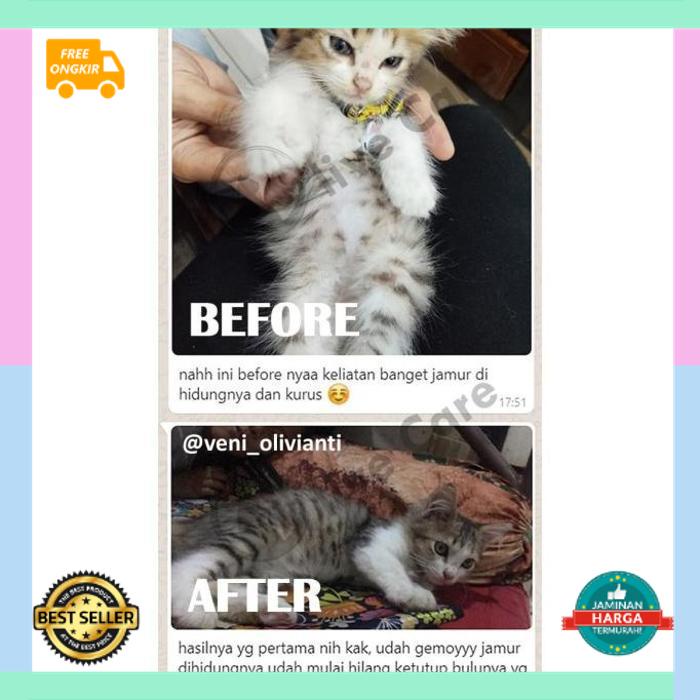 Paket IMUN BULU Lebatin Bulu, Flu,Rontok, Imunitas, Sendi - Olive Care Nafsu Makan, Bulu Rontok,