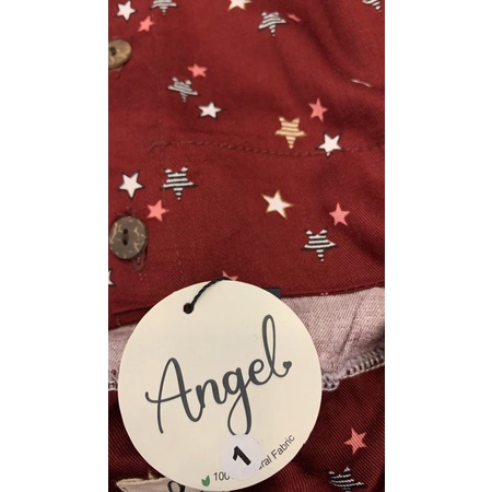 atelier angelina daster simple dress Blair Brigitte AA STARS MAROON GYNURA PINK Genjie pie cactus Da