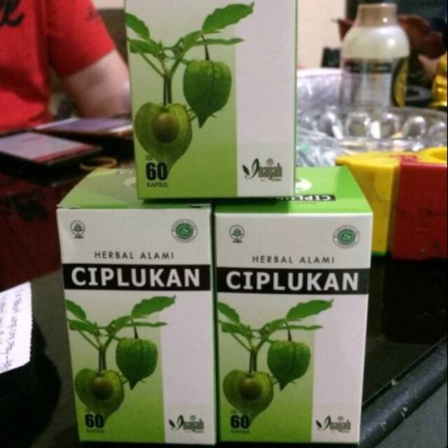 

CIPLUKAN