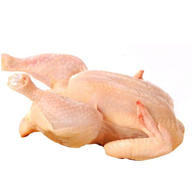 

ayam kampung segar halal 1.1 kg