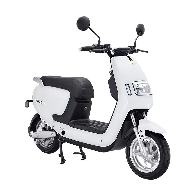 Sepeda Motor Listrik Ecgo Bike 2 VIN 2022 Off The Road / On The Road Garansi SNI-GLOSSY SNOW WHITE
