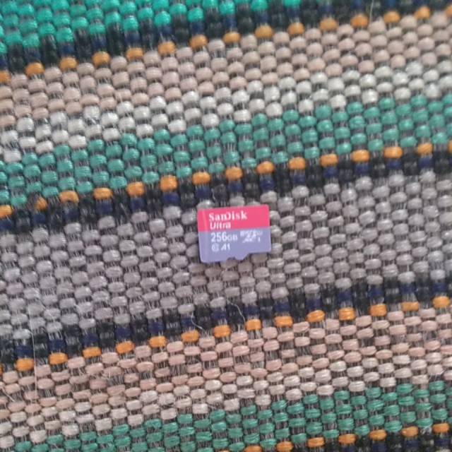 Memori sandisk ultra 256gb