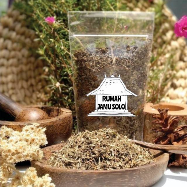

RUMAH JAMU SOLO - Premium Quality 100gram meniran kering rempah herbal