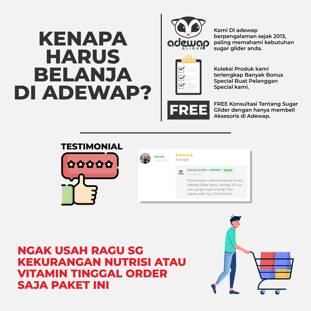 ADEWAP GLIDER Paket Hemat 3 Serangga Nutrisi Protein Sugar Glider