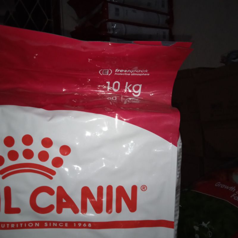 Royal Canin Medium Adult Dewasa 10kg/RC Medium Adult 10 kg