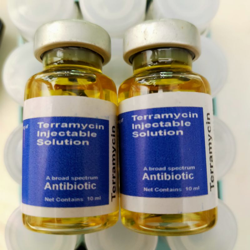 Teramycin, Teramicin Obat Ngorok Obat Flu Pada Ayam