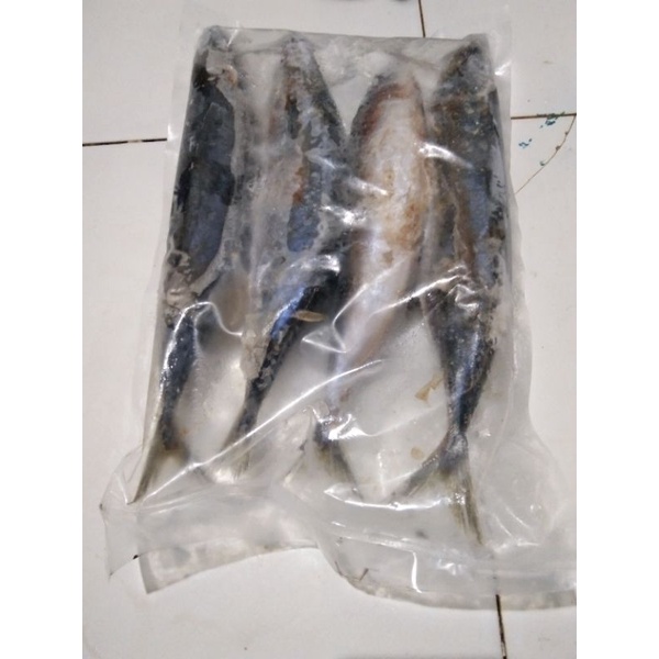 

ikan layang