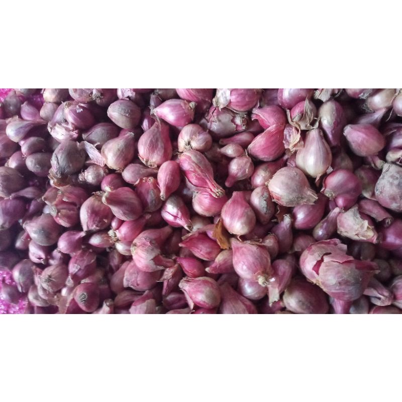 

Bawang tanggung 500gr garing sring