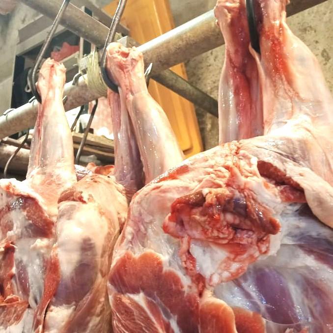 

Meat | Daging Kambing Paha Campur Tulang Segar 1Kg Khusus Ghosend