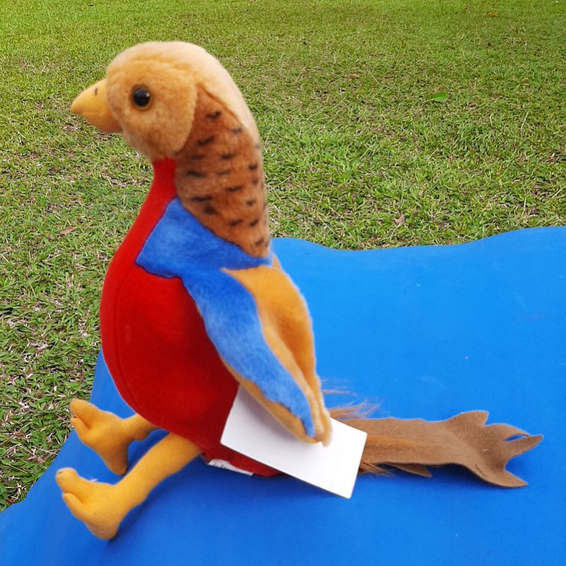 Boneka ayam hias golden pheasant