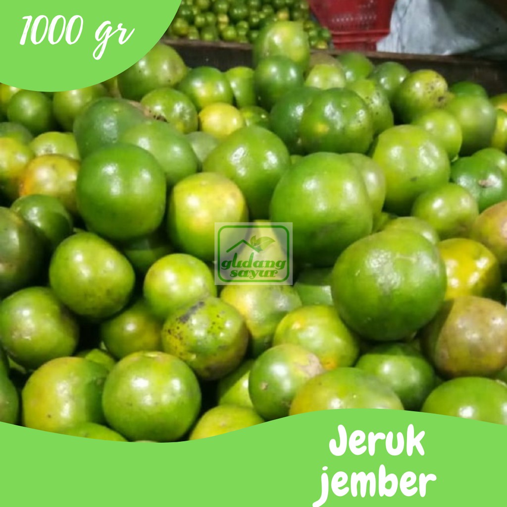 

Jeruk Jember 500g Gudang Sayur Purwokerto