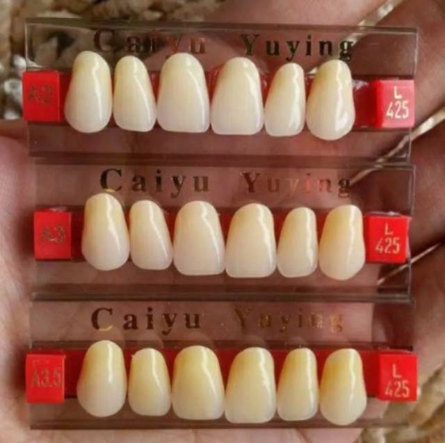 GIGI PALSU DEPAN ATAS DAN BAWAH / ANTERIOR UPPER CAIYU
