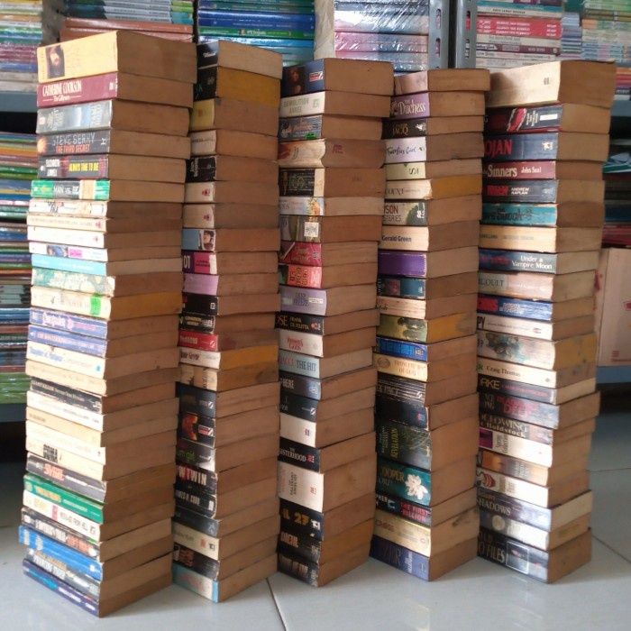 Novel Import BESTSELLER Original Bekas