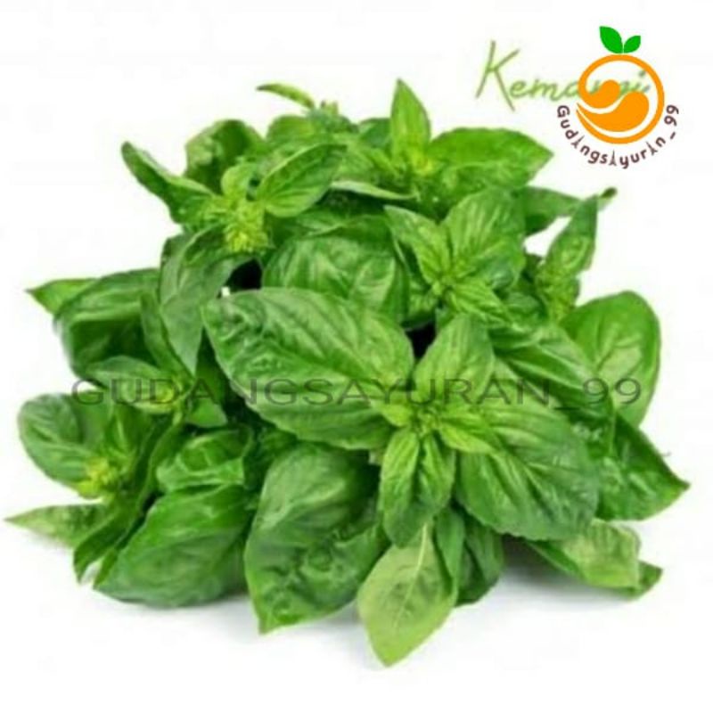 

Daun kemangi 250 gram