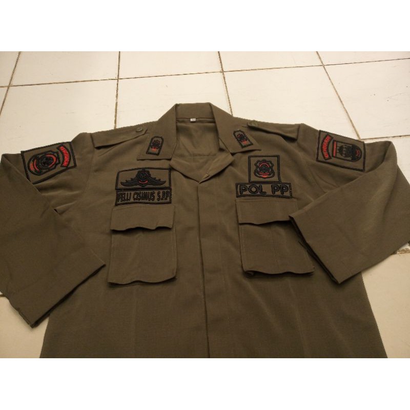 PDL LUSTER POL PP ples emblem