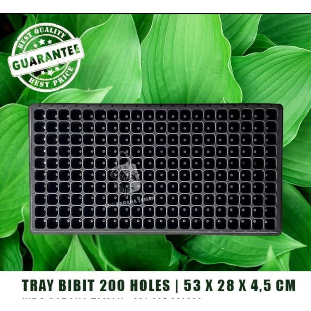 TRAY SEMAI 200 Tray Pembibitan Seedling Tray Pot Tray Pot Pembibitan 200 lubang