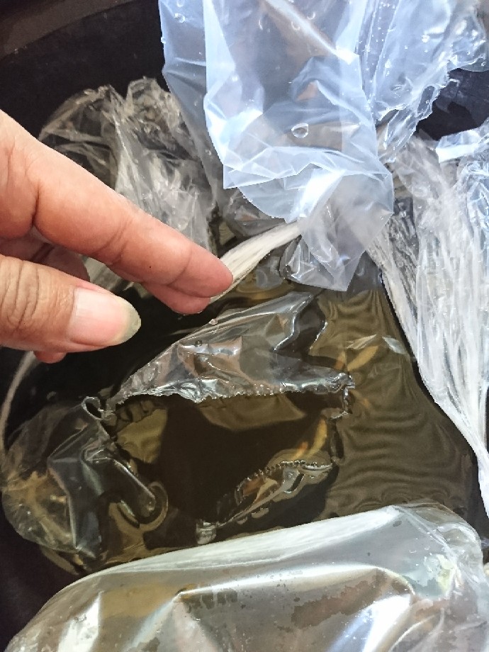 Glowlight Tetra Neon Api